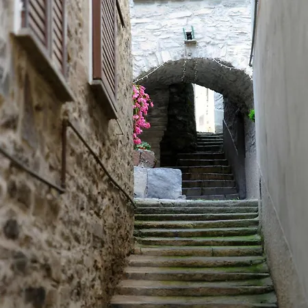 La Colonghera By Quokka 360 - Flat On